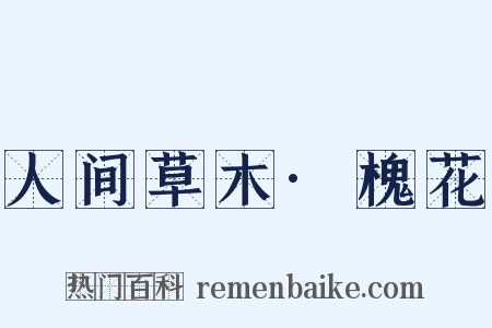 人间草木·槐花是什么意思的图片